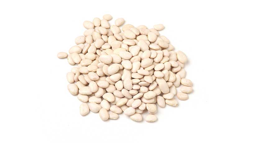 Baby White Lima Beans