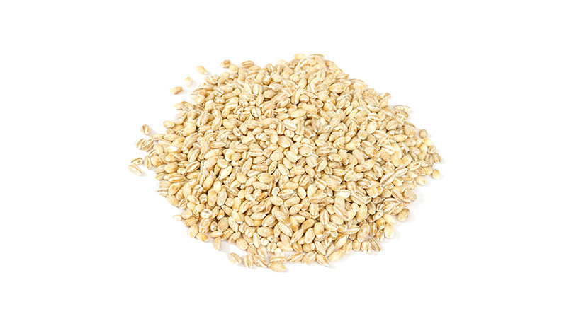 Barley Grains