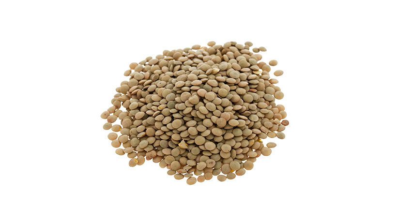 IQF Brown Lentils