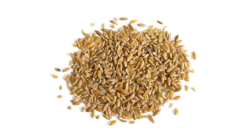 IQF Freekeh