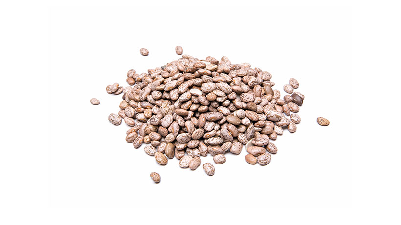 IQF Pinto Beans