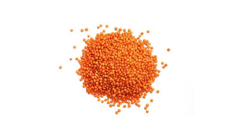 IQF Red Lentils