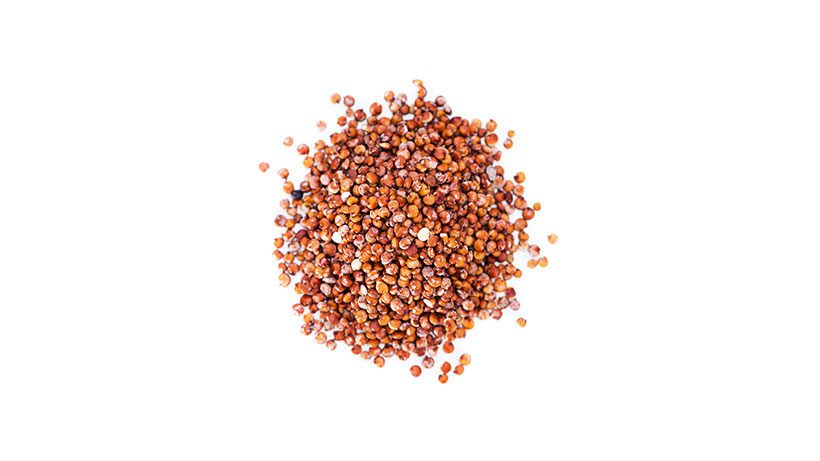 IQF Red Quinoa