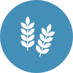 Grains