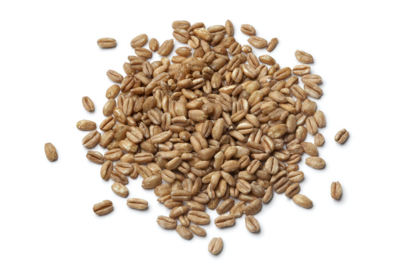 Farro Farro